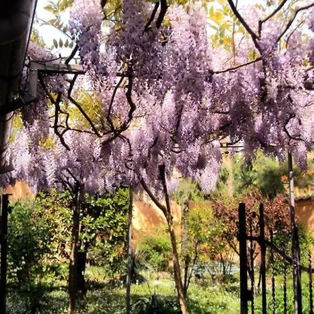 Hotel San Vitale *