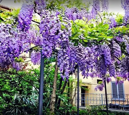 ホテル San Vitale