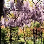 Отель San Vitale *